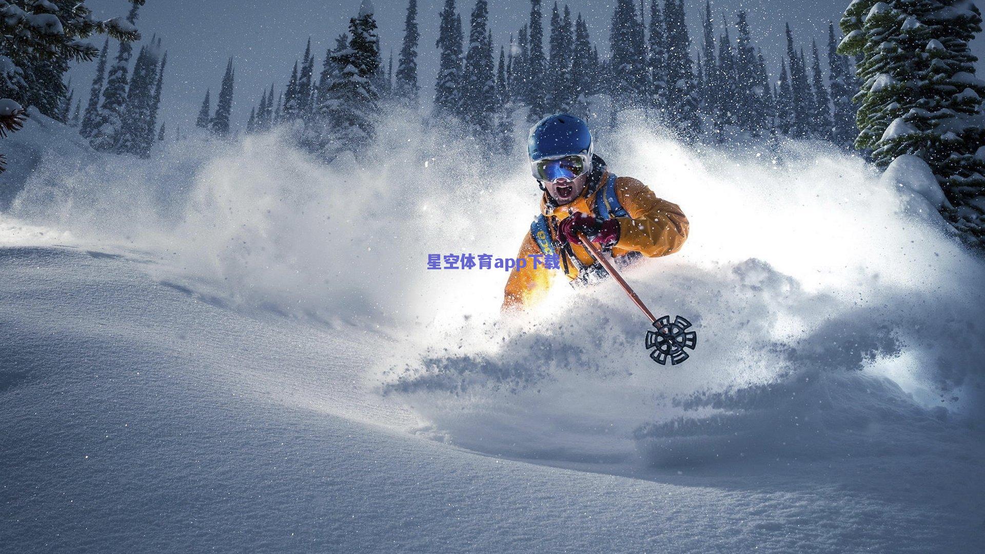 全国游泳锦标赛落幕，新星闪耀破纪录，老将坚守展风采
